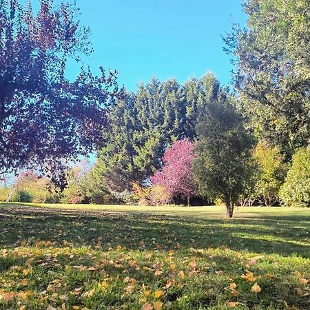 Cautiva Morena San Martín de los Andes المظهر الخارجي الصورة